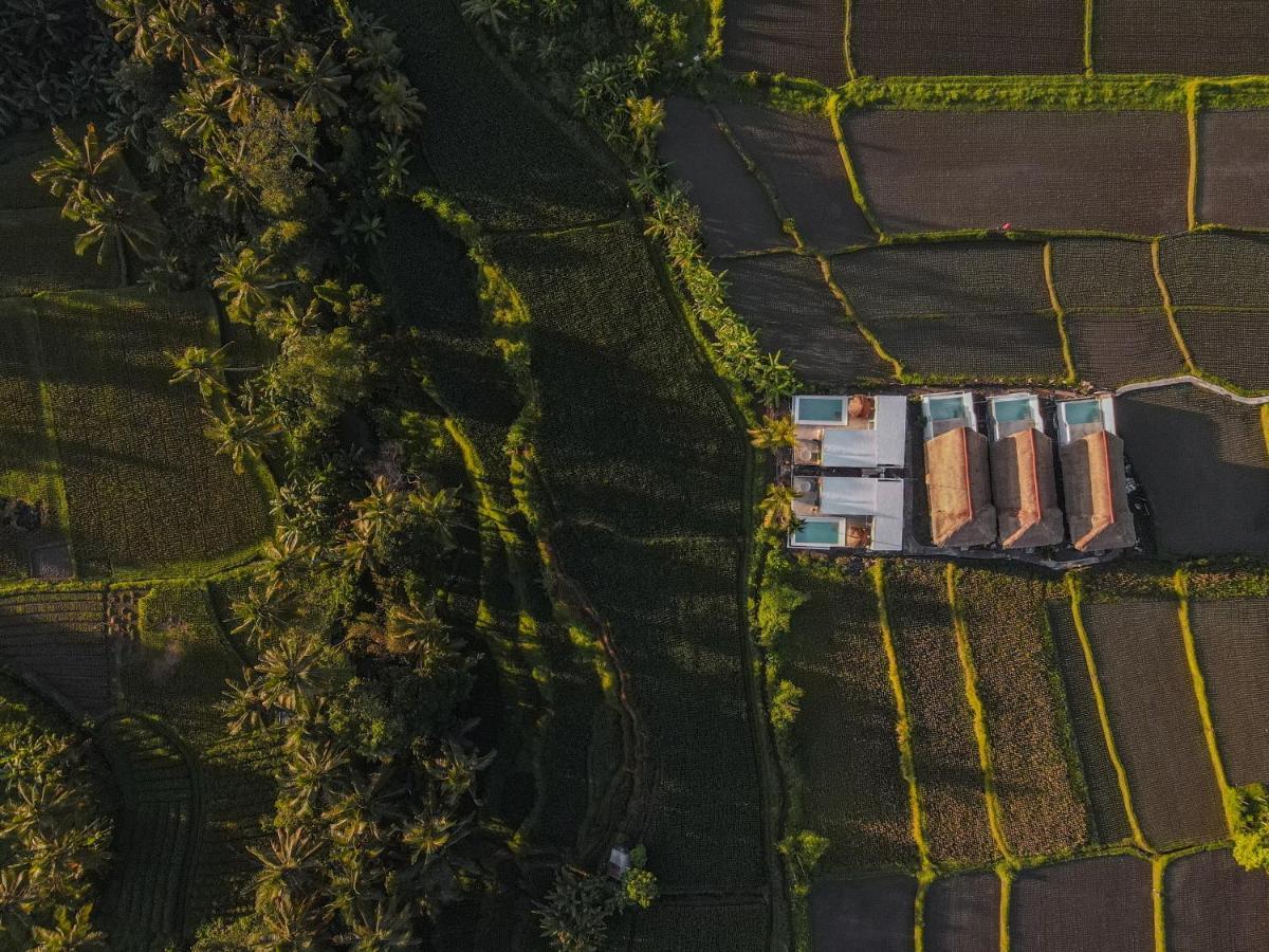 Woywoy Escape Samu (Adults Only) Villa Ubud Buitenkant foto